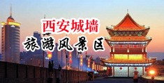 大鸡吧日逼好深视频中国陕西-西安城墙旅游风景区